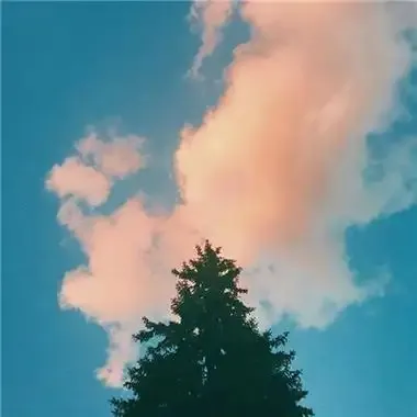 孙*忱同学